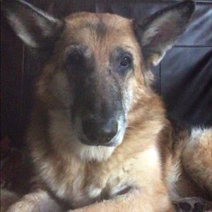 Meet your Posher, Tammy